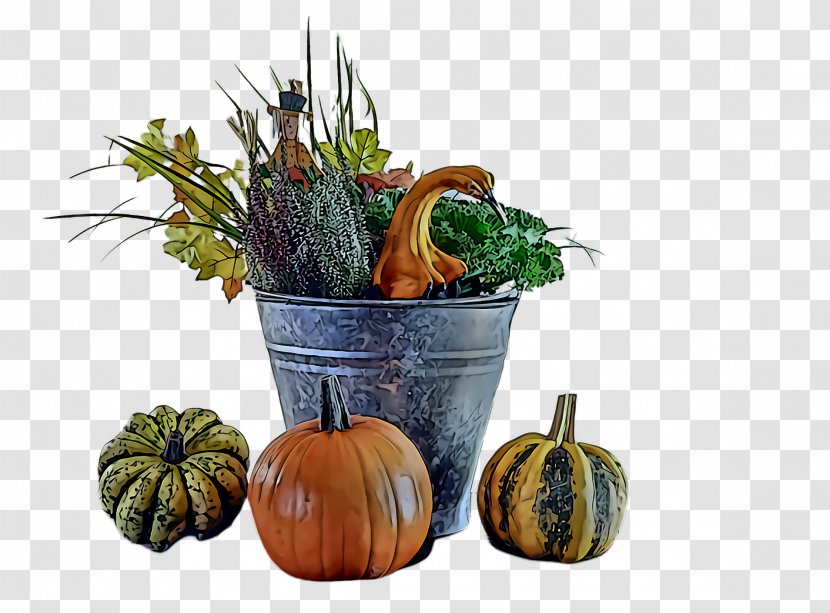 Pumpkin - Vegetable - Flowerpot Orange Transparent PNG