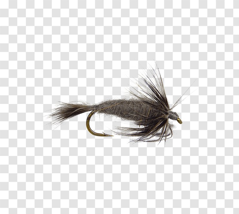 Artificial Fly Fishing Hackles Mayfly - Insect Transparent PNG