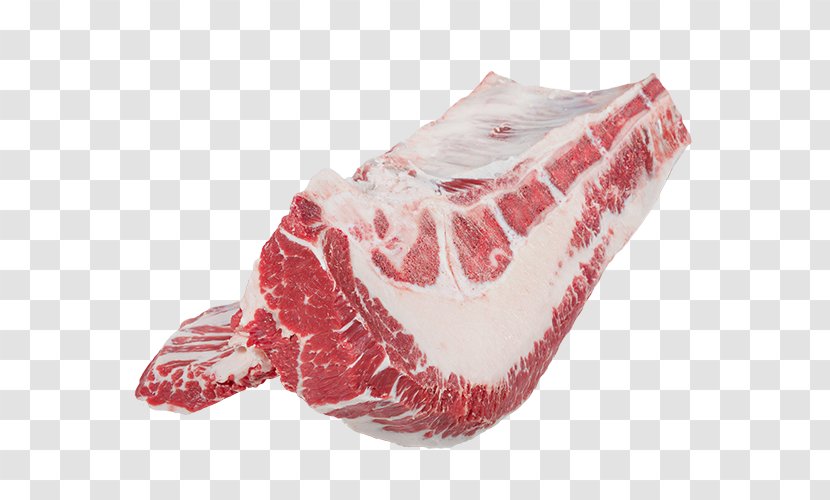 Halal Biryani Lamb And Mutton Meat Food - Watercolor Transparent PNG