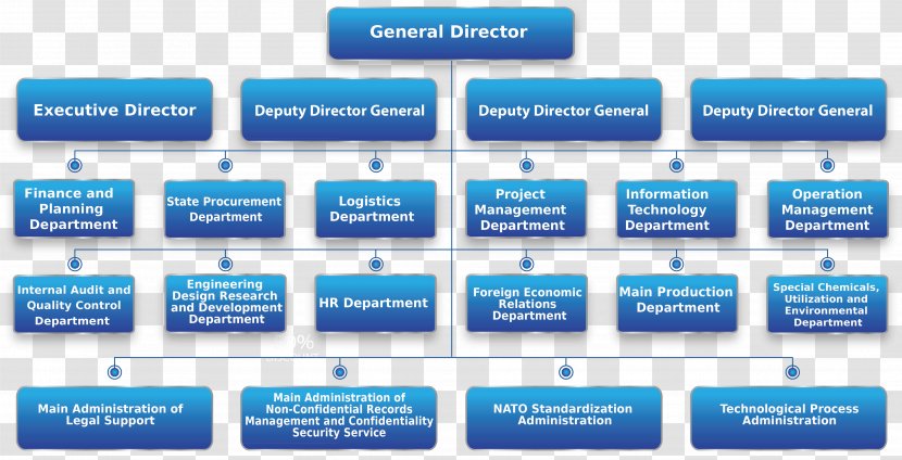 Organizational Structure Chart Project - Hierarchical Organization - Leadership Transparent PNG