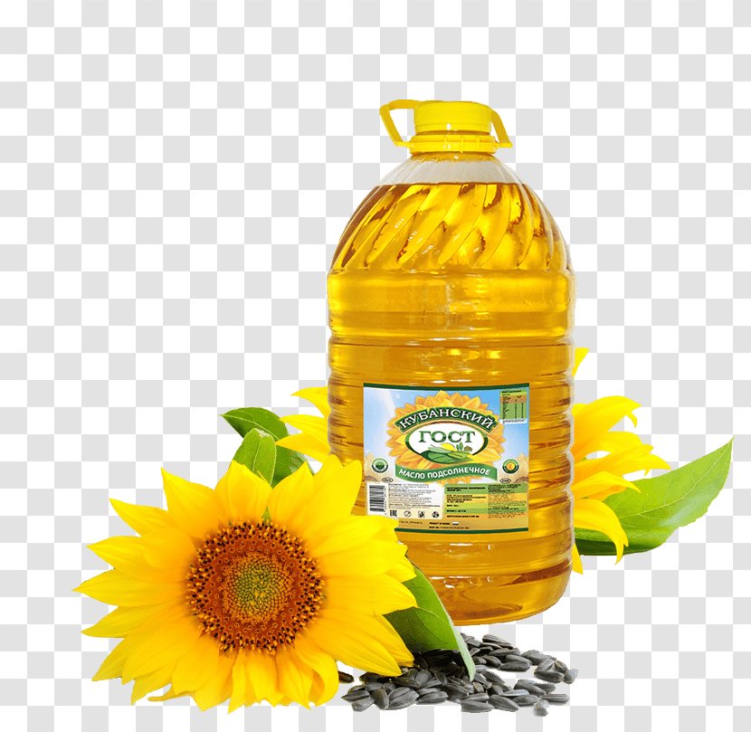 Sunflower Oil Seed Olive Vegetable - Common Transparent PNG