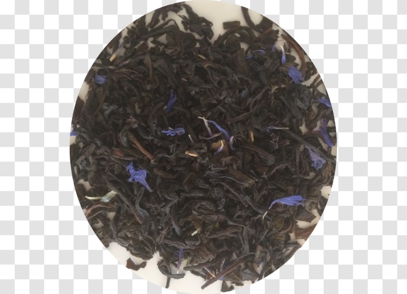 Nilgiri Tea Dianhong Plant - Sencha Transparent PNG
