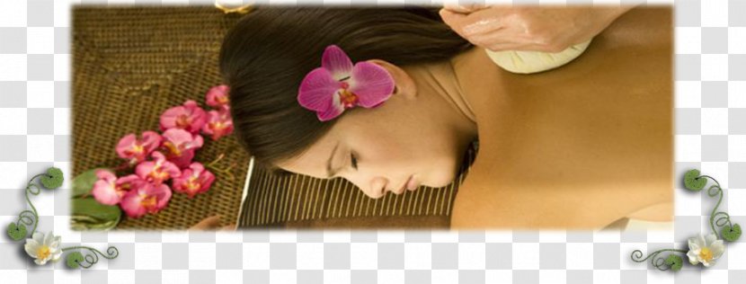 Sunshine Thai Massage & Spa Masseur - Floral Design - Traditional Transparent PNG