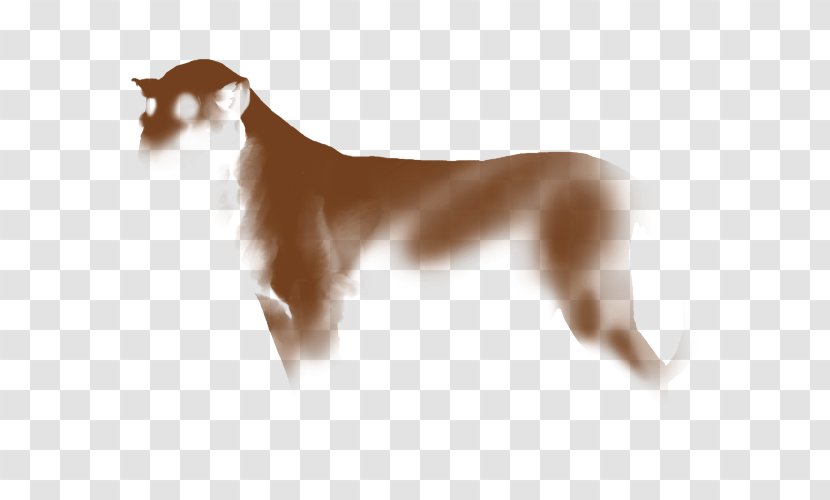 Dog Breed Italian Greyhound Lion Saluki Felidae - Like Mammal - Gold Transparent PNG