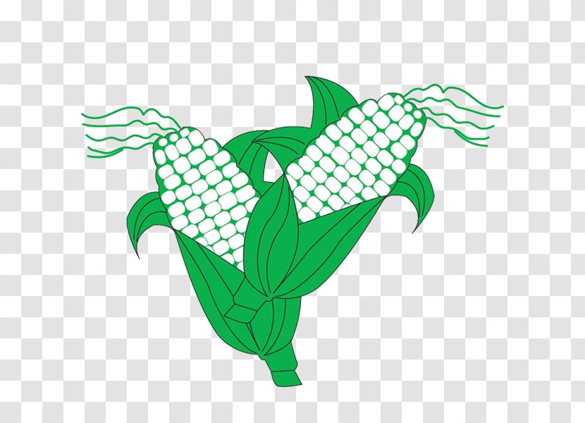 Cartoon Maize Sticker - Drawing - Corn Leaf Line Diagram Transparent PNG