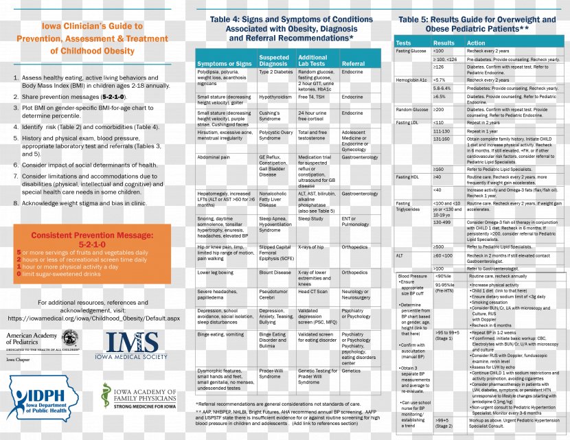 Childhood Obesity Health Care Iowa - Systematic Review Transparent PNG