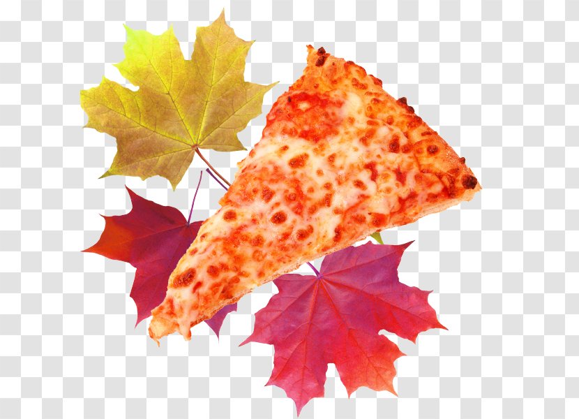 Hamburger Pizza Buffalo Wing Fried Chicken Taco - Tree - Cheese Transparent PNG