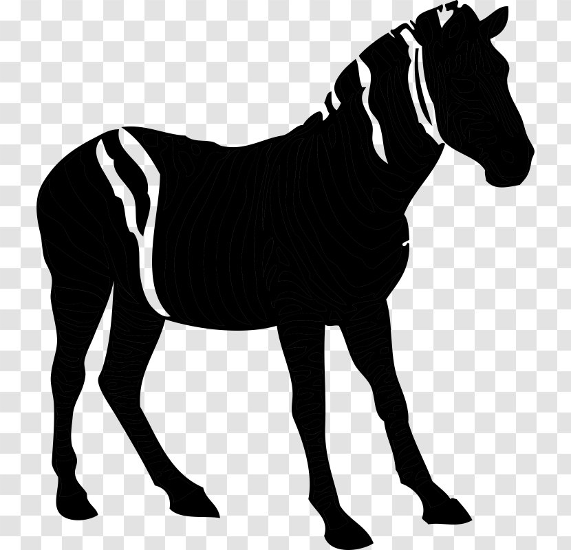 American Quarter Horse Silhouette Clip Art Image Pony - Mane - Line Transparent PNG