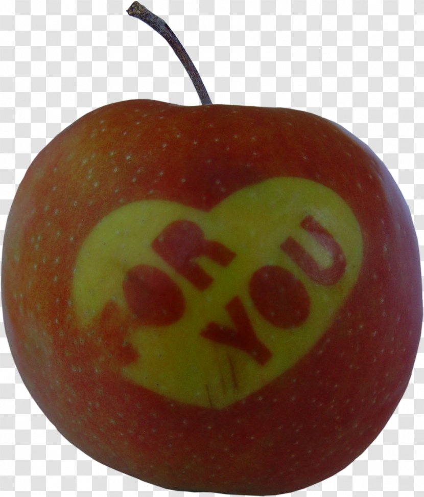 McIntosh Laboratory - Mcintosh - Love Apple Transparent PNG