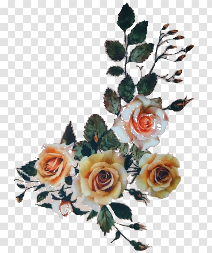 Garden Roses Cut Flowers Floral Design Flower Bouquet - Rose - Order Transparent PNG