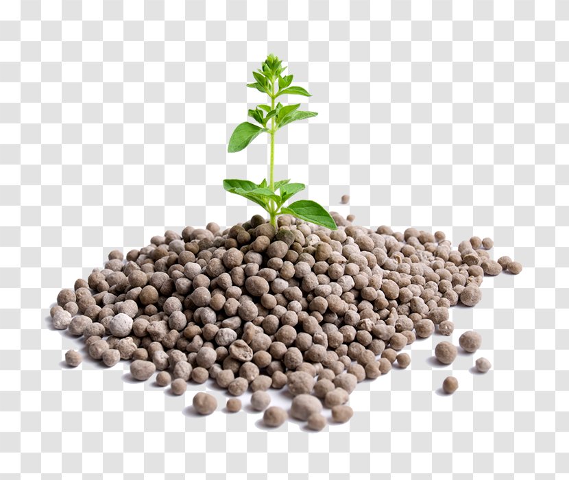 Earth Background - Soil - Cubeb Superfood Transparent PNG