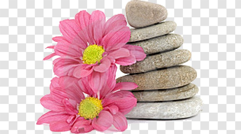 Spirituality Meditation Feeling Reverence Altar - Chrysanthemum Transparent PNG