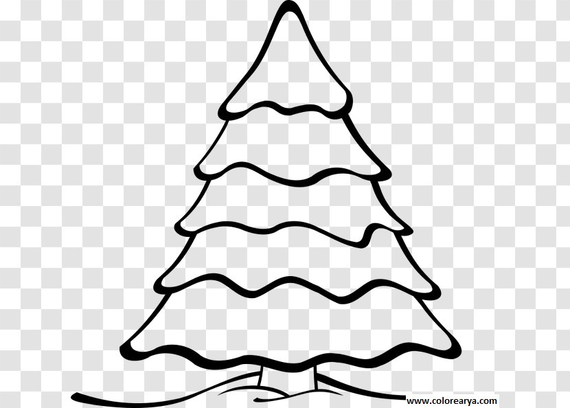 Christmas Tree Line Drawing - Evergreen - Eve Symmetry Transparent PNG