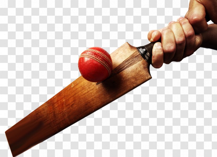 Cricket Bats Batting Balls - Ball Transparent PNG