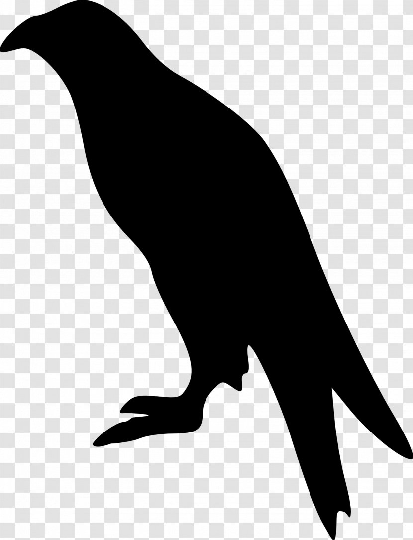 Silhouette Eagle Clip Art - Marine Mammal Transparent PNG