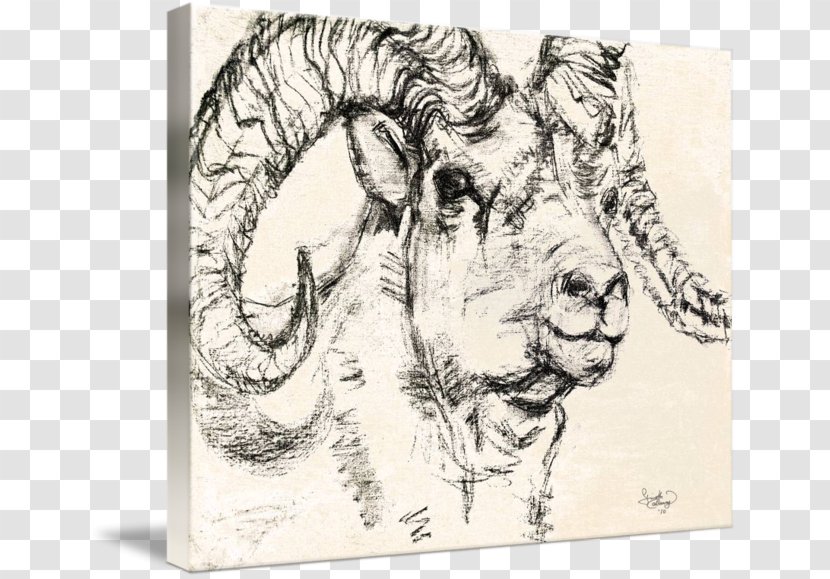 Dall Sheep Goat Drawing Charcoal Transparent PNG