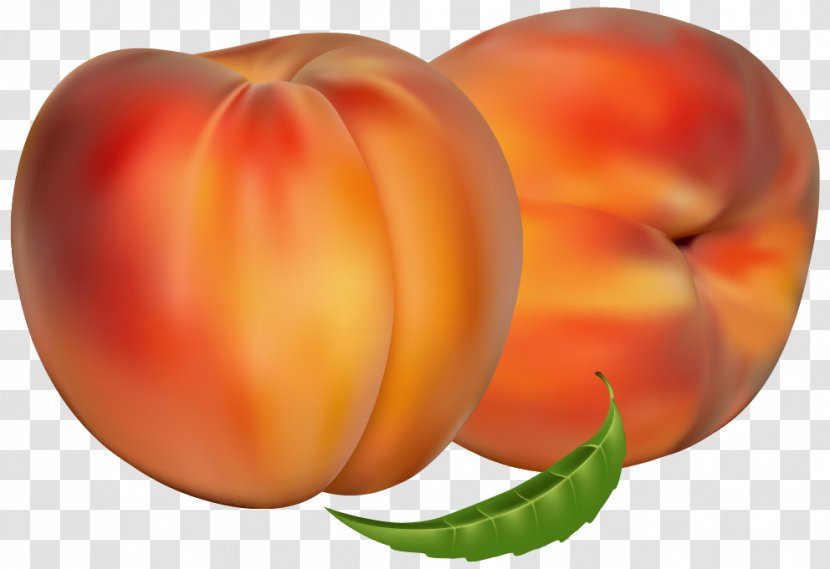 Nectarine Fruit Auglis - Superfood - Peach Transparent PNG