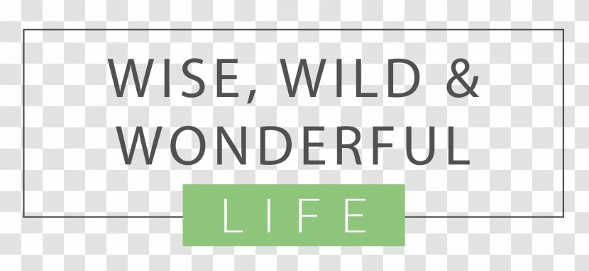 Paper Brand Logo Line Font - Sign - Wild Adventure Transparent PNG