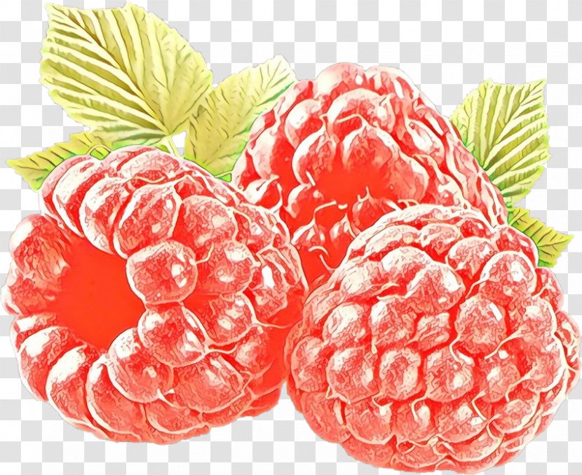 Berry Raspberry Fruit Natural Foods Food - Plant Superfruit Transparent PNG