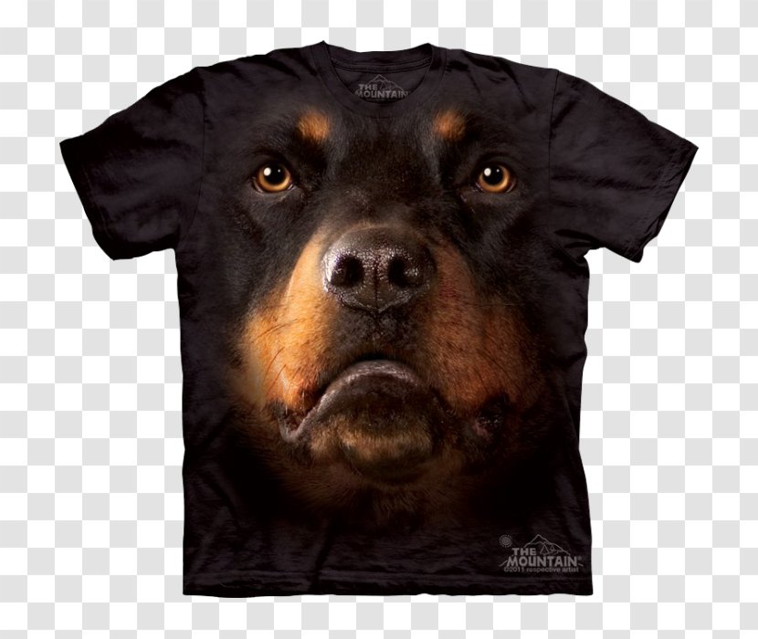 Rottweiler T-shirt Bernese Mountain Dog Divine Dogs Online - Tshirt Transparent PNG