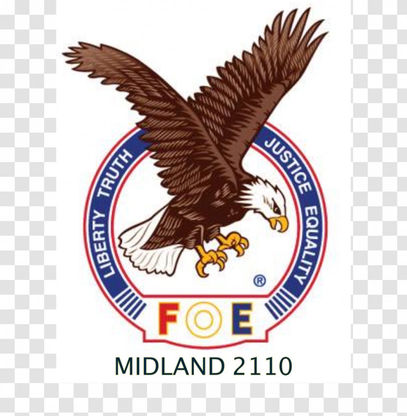 Fraternal Order Of Eagles #4208 Fraternity Philadelphia - Logo Transparent PNG