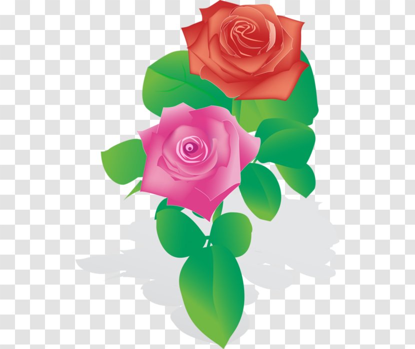Wind Rose Flower Drawing - Order Transparent PNG