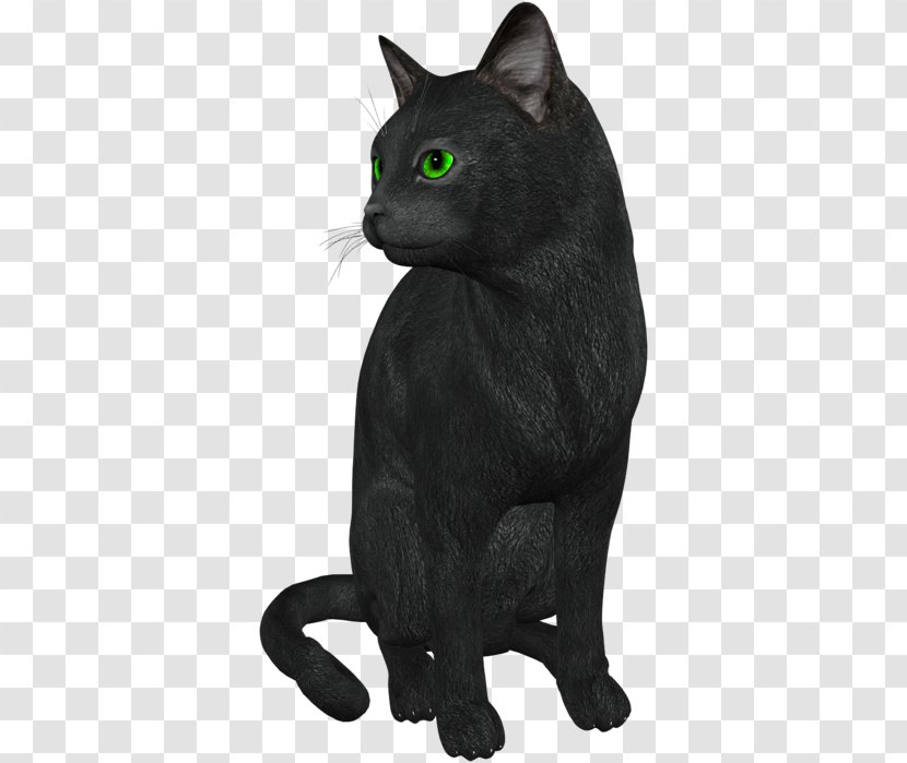 Bombay Cat Russian Blue Black Malayan Chartreux - Asian - Kitten Transparent PNG