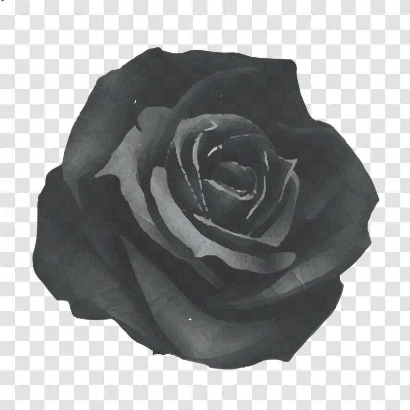 Rose Art - Printing - Black Transparent PNG