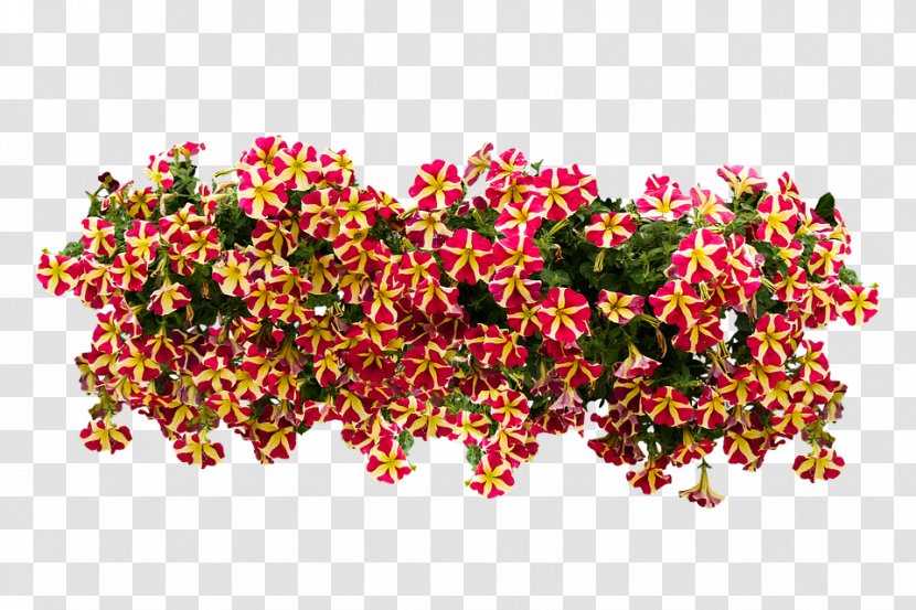 Floral Design Flower Clip Art Image - Flowering Plant Transparent PNG