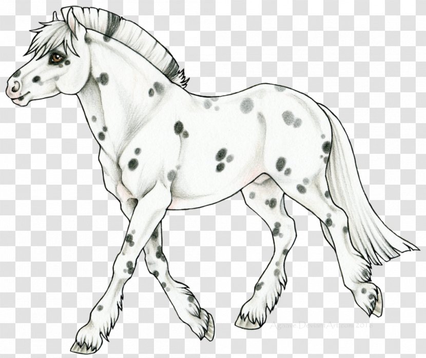 Mule Foal Stallion Mare Mustang - Horse Supplies - Duncan Macbeth Drawing Transparent PNG