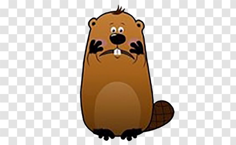 Beaver Stock Photography Clip Art - Snout - Face Transparent PNG