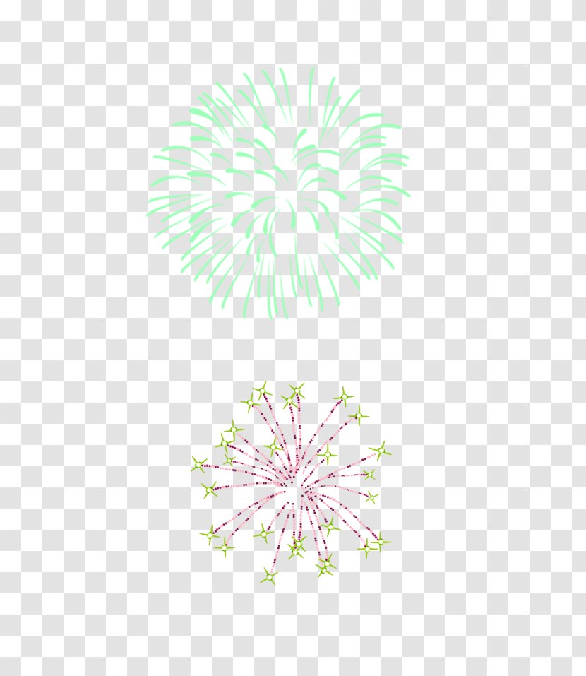 Fireworks Firecracker Icon - Flowering Plant - Green Elements Transparent PNG
