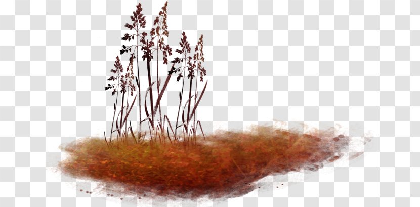 Autumn Collage Clip Art - Grass - Nature Transparent PNG