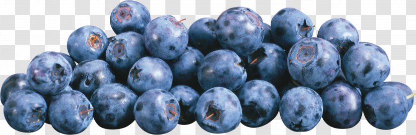 Frutti Di Bosco European Blueberry - Bearberry - Blueberries Transparent PNG