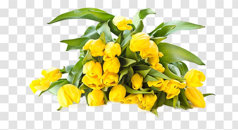 Tulip Flower Bouquet Yellow Wallpaper - Red Transparent PNG