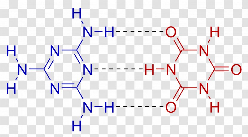Base Pair GC-content DNA Adenine Nucleic Acid Double Helix - Tree - Chemical Transparent PNG