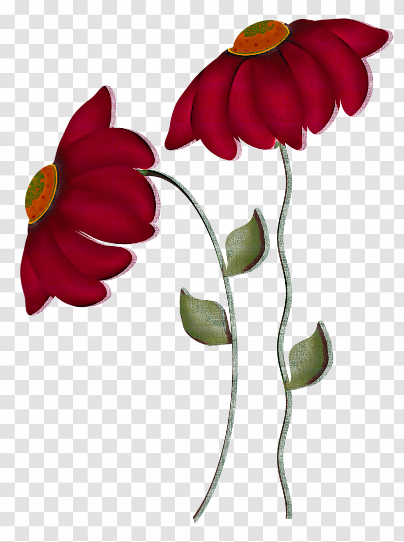 Flower Petal Plant Pedicel Leaf Transparent PNG
