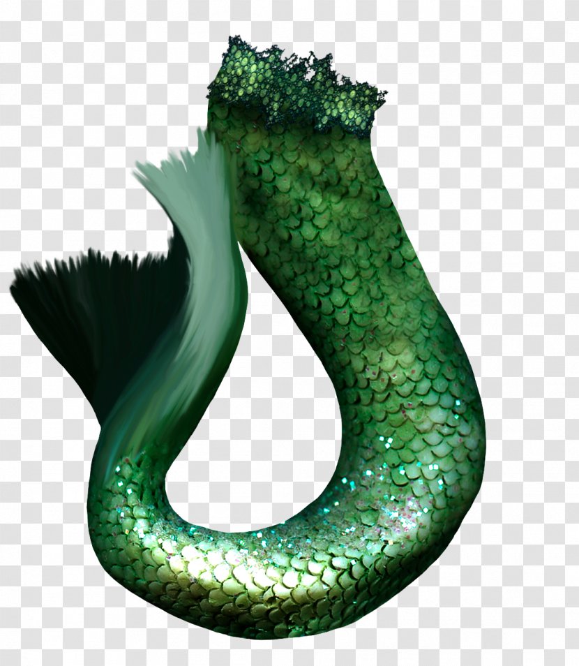 Mermaid Photography Tail - Organism Transparent PNG