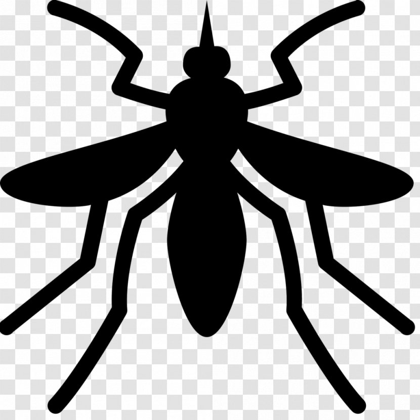 Yellow Fever Insect - Mosquito - Symmetry Membranewinged Transparent PNG