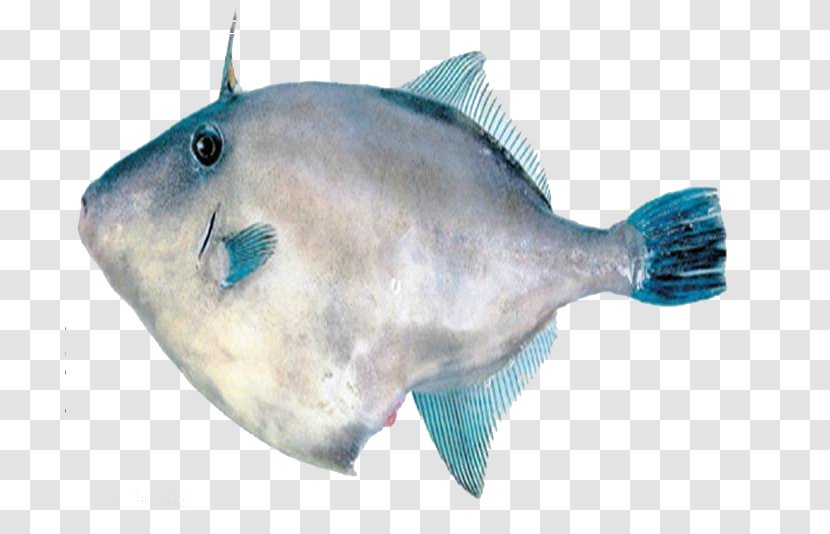 Fish Hot Pot Seafood - Child - Consumption Transparent PNG