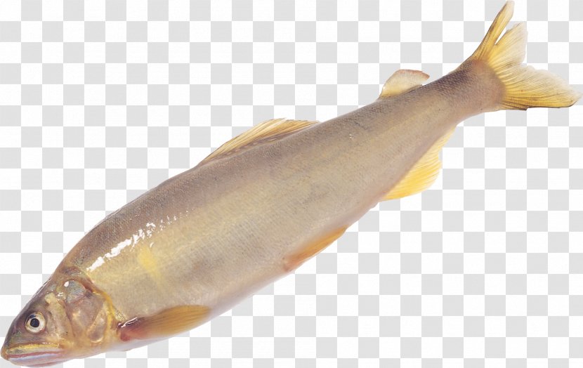 Seafood Larimichthys Crocea Polyactis Fish As Food - Osmeriformes Transparent PNG