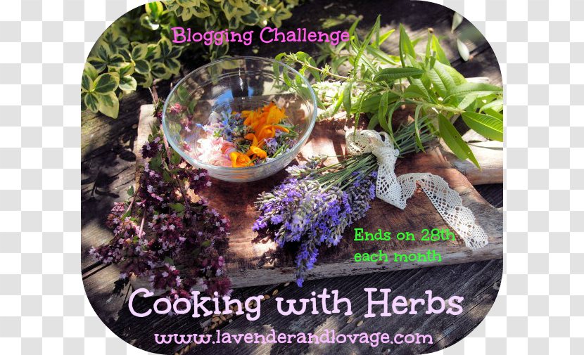 Cooking Herb Recipe Stuffing Spice Transparent PNG
