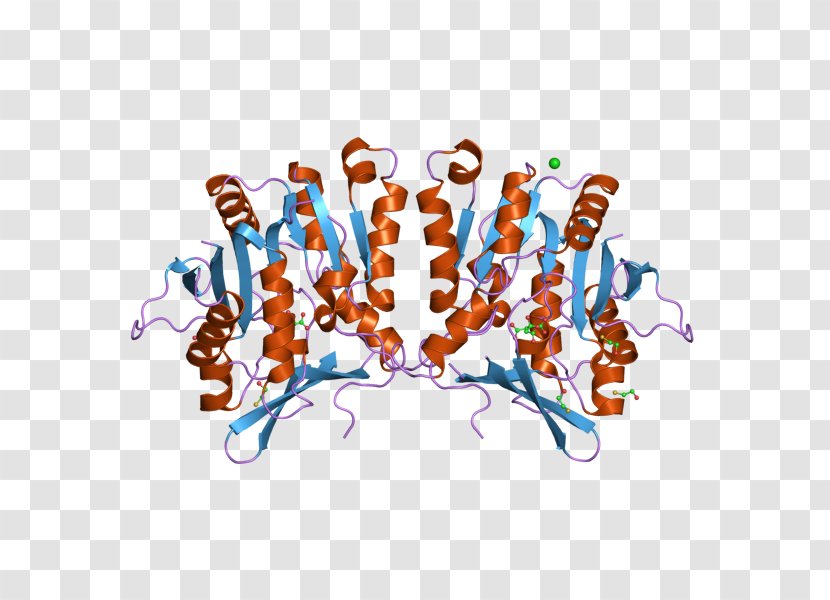 Glycine N-methyltransferase GNMT Enzyme Tamen - Logo Transparent PNG