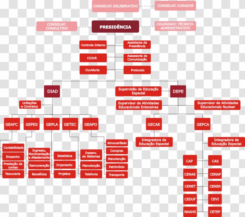 Organizational Chart Special Education Foundation Of Santa Catarina Management Disability - Brand - Layout Transparent PNG