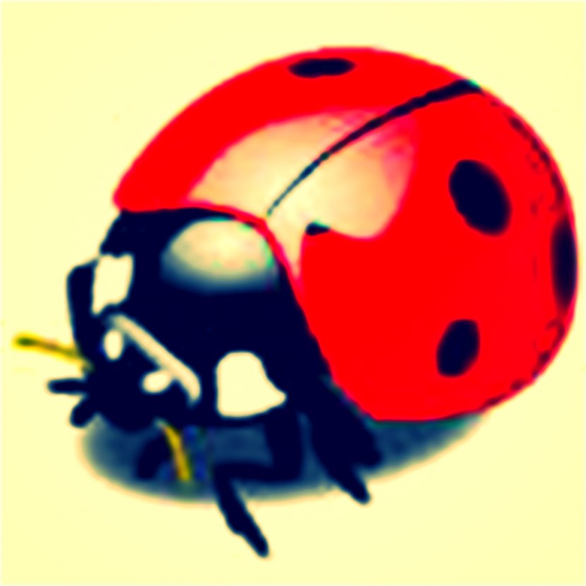 Insect Ladybird Drawing Clip Art - Organism - Bug Transparent PNG