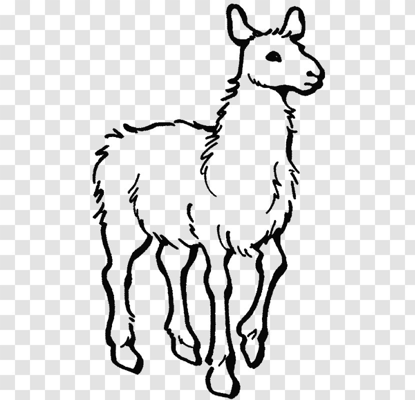 Alpaca Colouring Pages Llama Home With Mama Coloring Book - Organism Transparent PNG