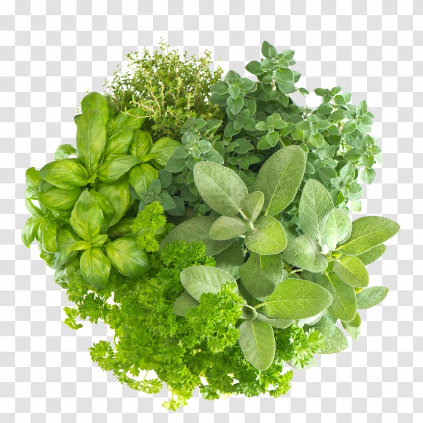 Herb Organic Food Health Spice - Flavor Transparent PNG