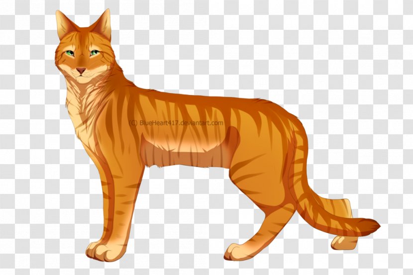 Whiskers Cat Red Fox Fauna Puma Transparent PNG
