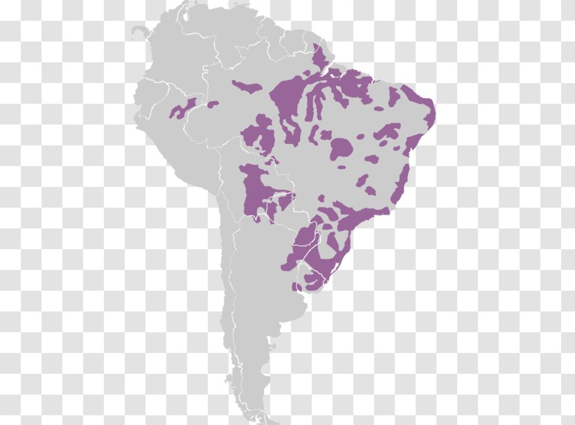 South America United States Latin Indigenous Languages Of The Americas Map - Tupiguarani Transparent PNG