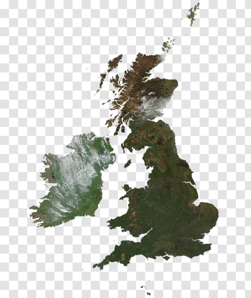 Blank Map Great Britain British Isles - Tree Transparent PNG